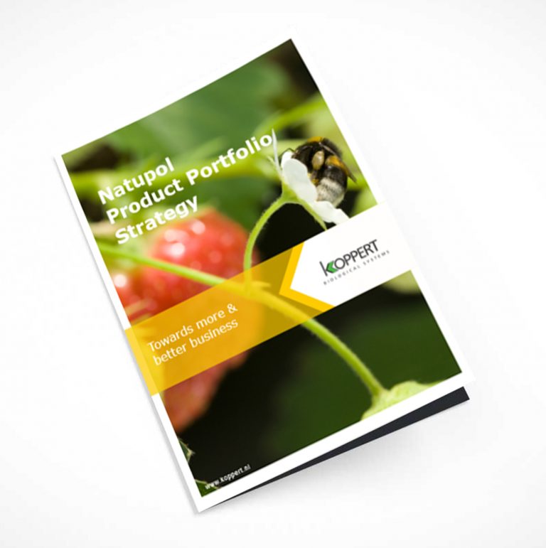 Booklet with graphic design and illustration for a corporate sustainability strategy